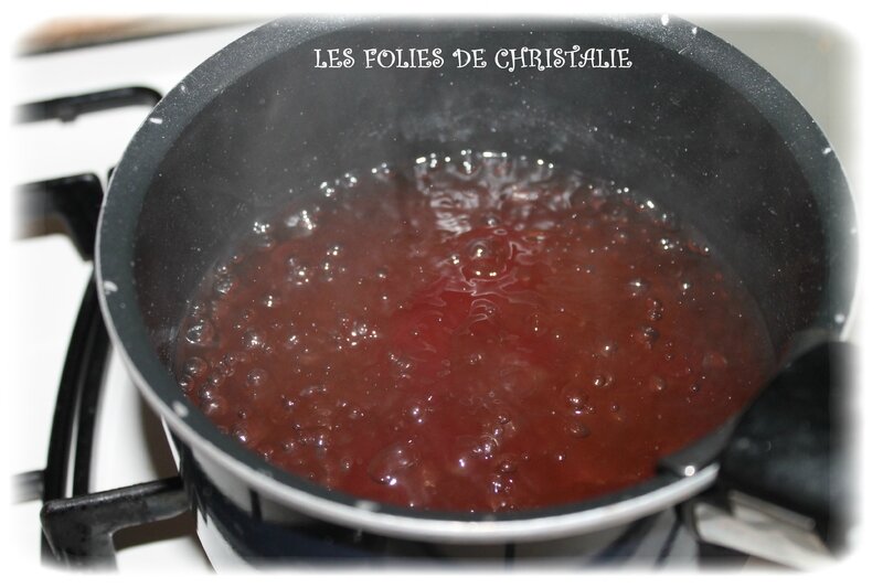 Sirop fruits rouges3
