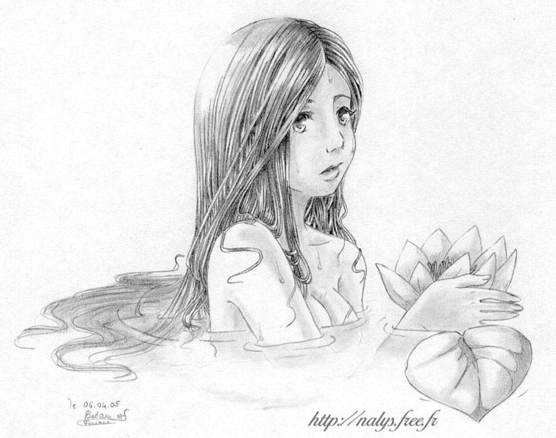 Le nénuphar