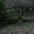 YV4S0638