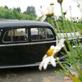 avenas 2008 (53)