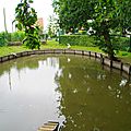 IMGP5112