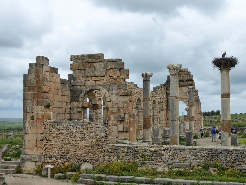 Volubilis (35)
