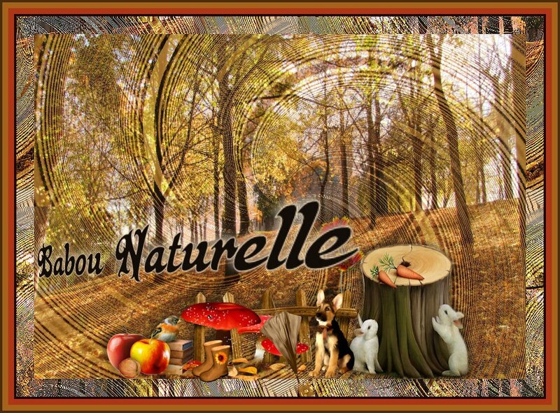 Automne-2