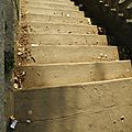 DSCN0838