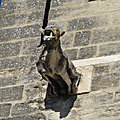 IMG_0006