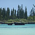 DSC04086