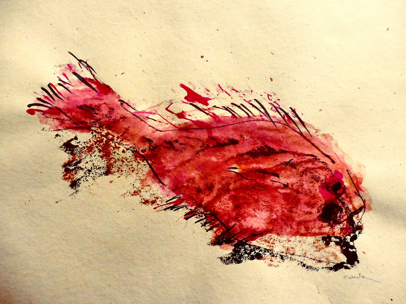 poisson sur papier bistre 60x80