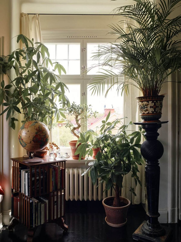 living-room-plants-black-floor-vintage-decor-nordroom-1125x1500