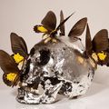 Philippe Pasqua, Crâne aux papillons. Crédit : Jean-Alex Brunelle / Adagp, Paris 2010