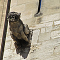 IMG_0007