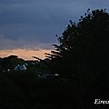 DSC08286
