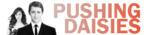 dnes_v2_daisies_mini_ban