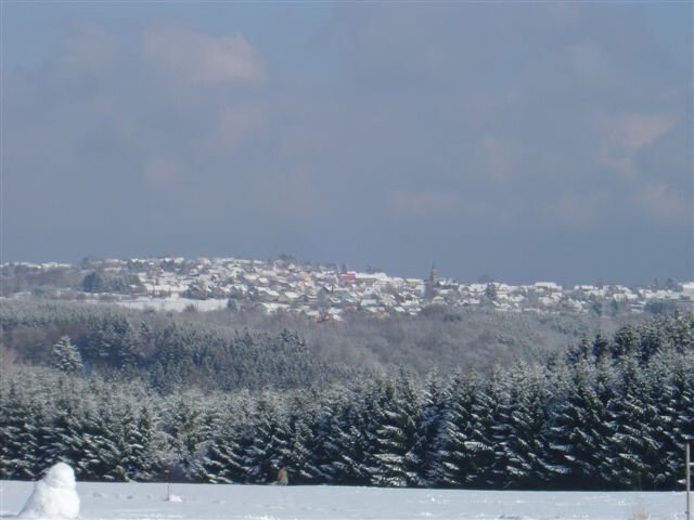 Lemberg_26049_Le-village-sous-la-neige