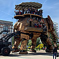 IMG_1554