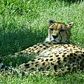 zoo AG (57).JPG