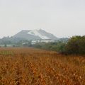 _IGP4259