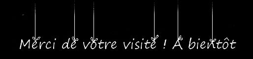 Merci de votre visite, à bientôt