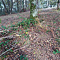 be-10-11-18-12
