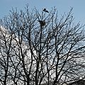 DSCN1516