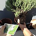 20160926_110351