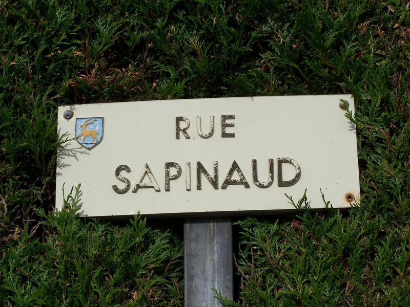 Mortagne-sur-Sèvre (85), rue Sapinaud