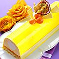 Bûche passion mangue coco