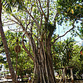 P1170162