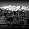 Les chemins andalous
