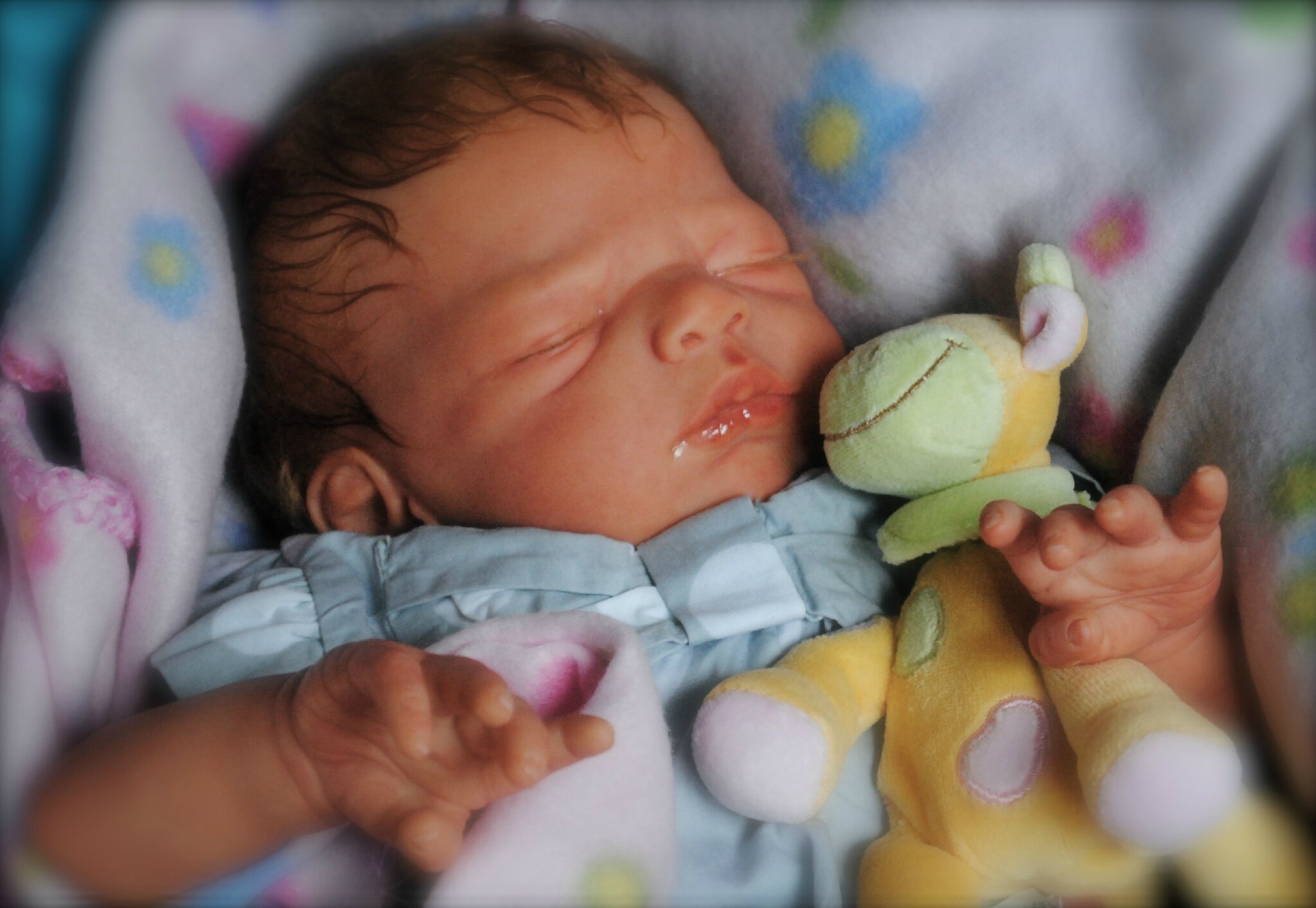 Charlotte Kit Elaine De Sabine Altenkirch La Nurserie Sweet Ladybird
