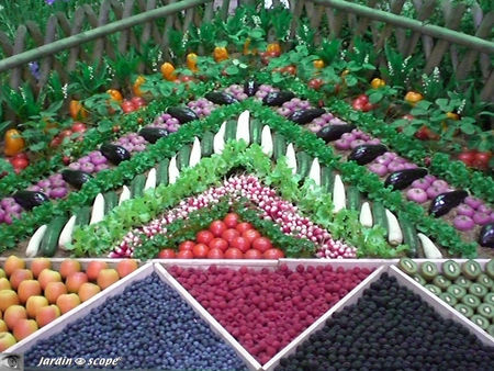 thématique pyramidale légumière