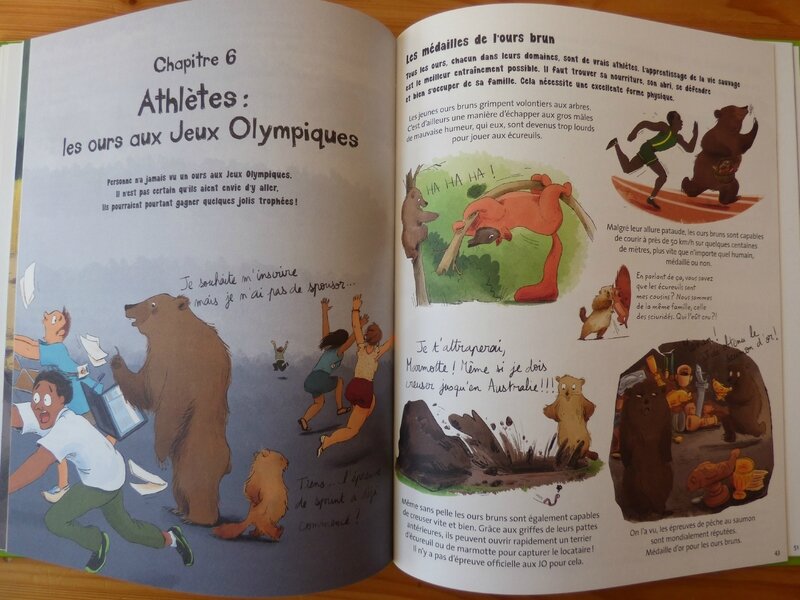 Tout sur l'ours (3)