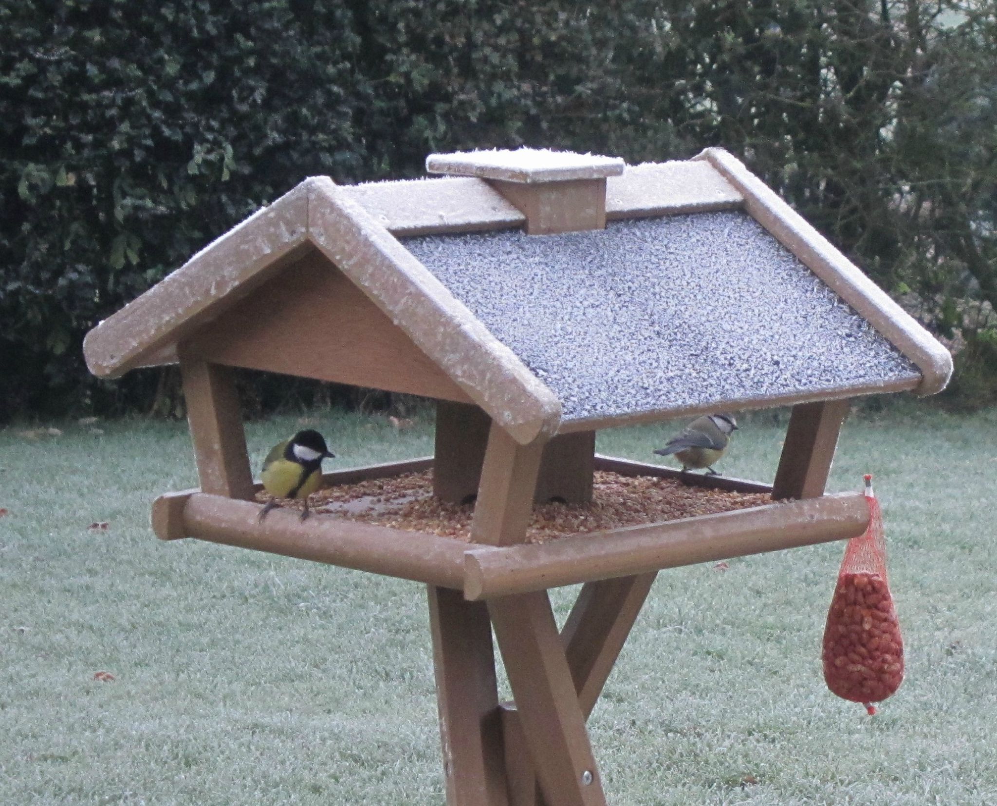 Une maison tip top pour les oiseaux. - Rien que du bonheur