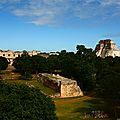 IMG_1253