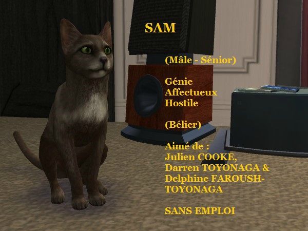 SAM
