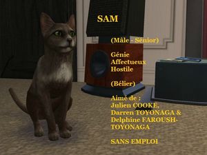 SAM