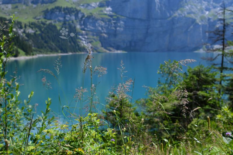 SUISSE_Oeschinensee_11