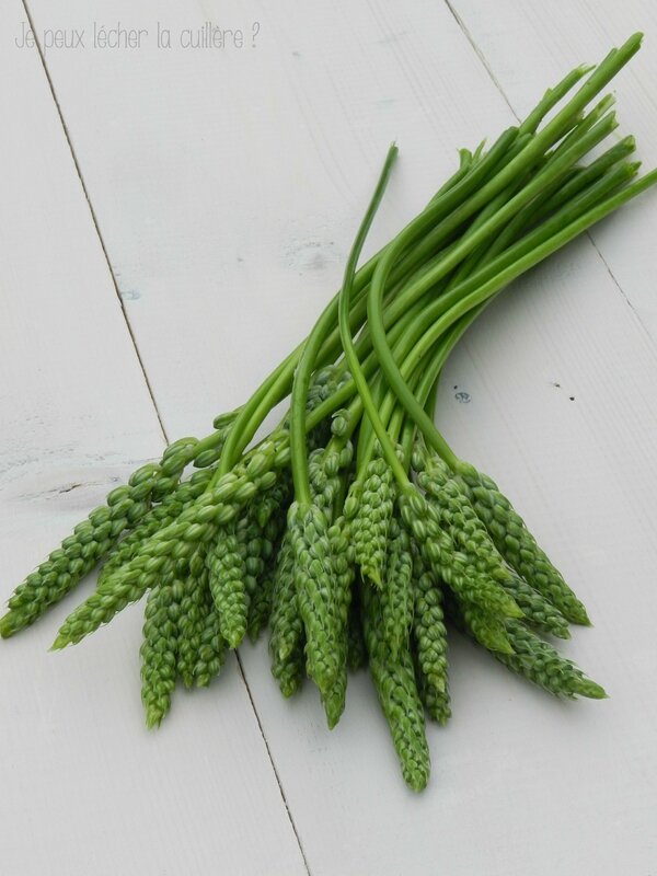 Asperges des bois