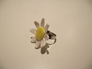 DSCF4529