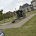 _DSC0263