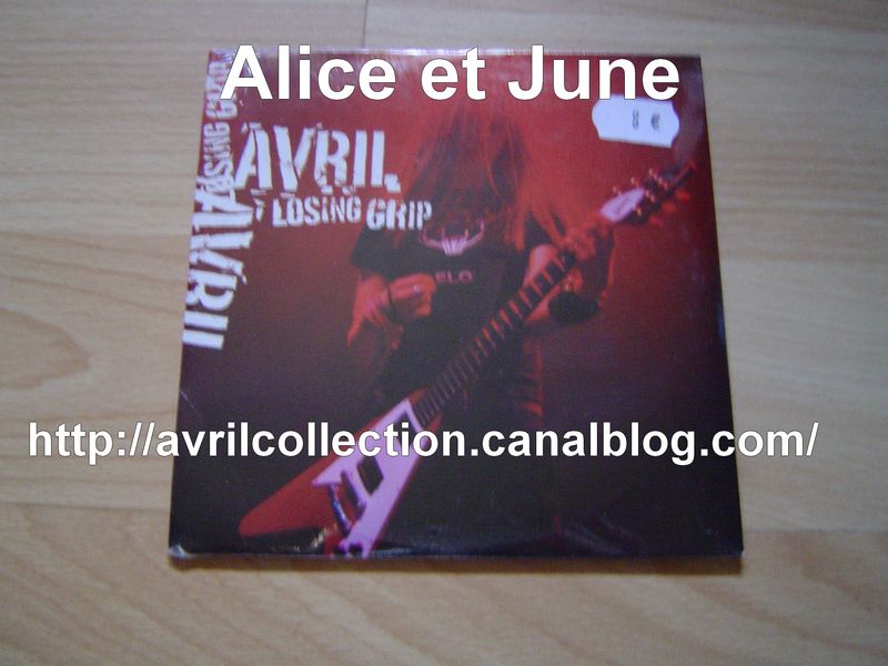 CD Single Losing Grip-version européenne (2003)