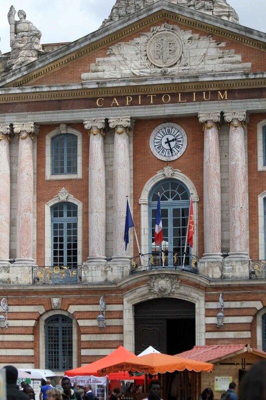 Pourquoi Appelle T On Toulouse La Ville Rose Toulouse (2) - Oiseaux et Compagnie