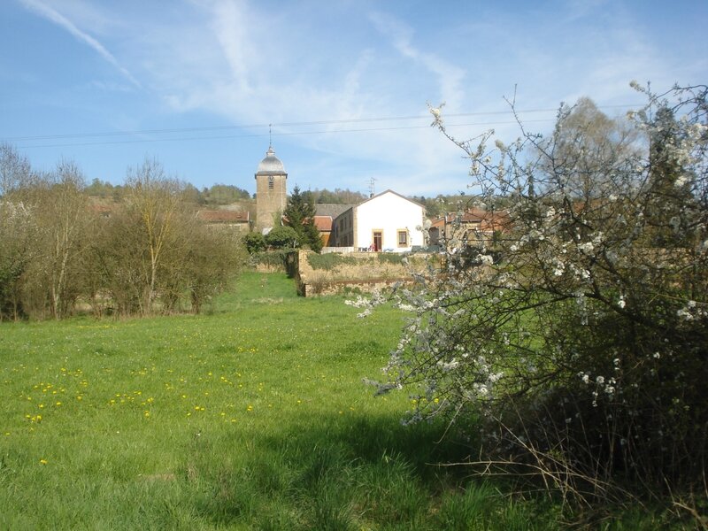 DSC06445