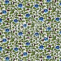 Rose_Thistle004
