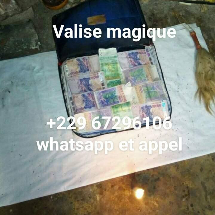 VALISE MAGIQUE QUI MULTIPLIE D'ARGENT