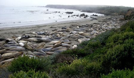 san simeon1