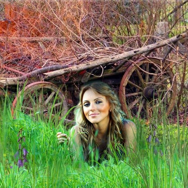 Un coin de verdure