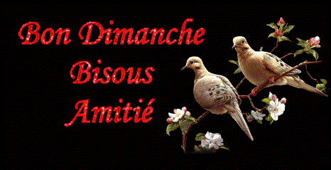 bon dimanche1