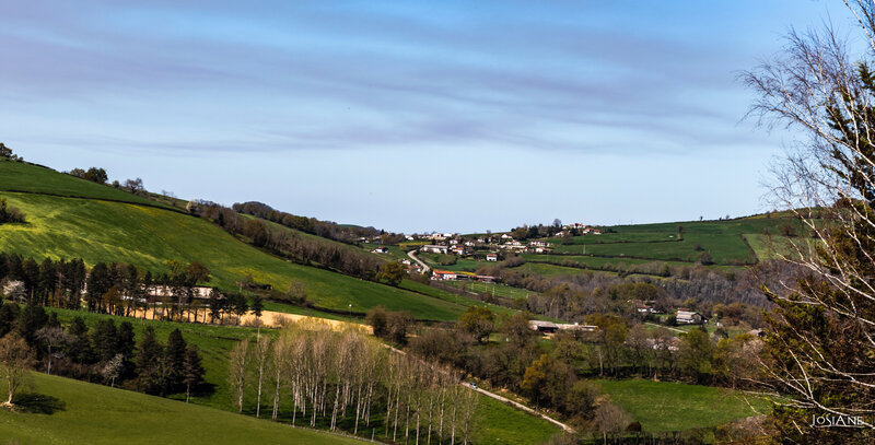 22032019-_MG_5066