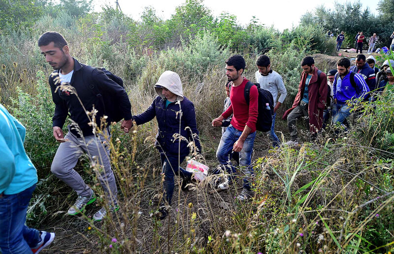 migrants-step-in-path-031b-diaporama