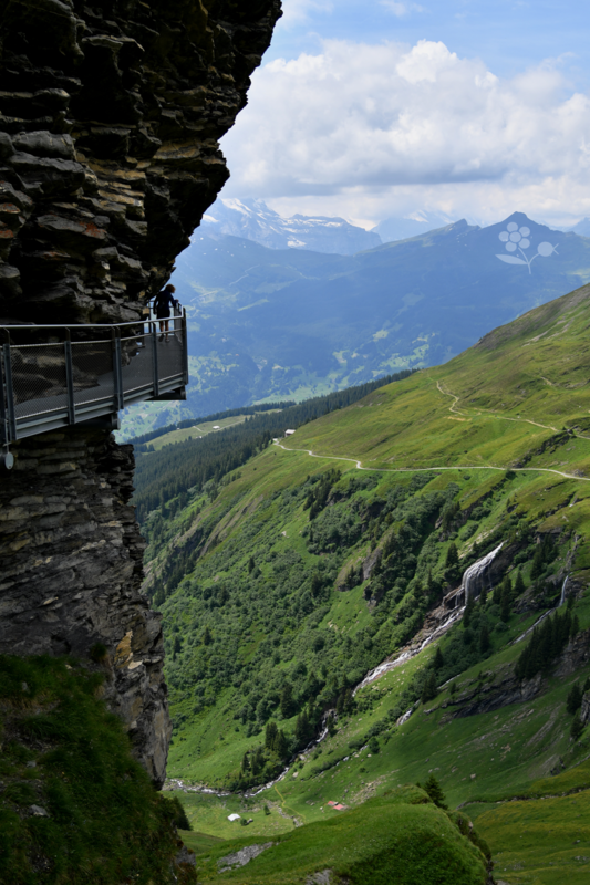 Suisse, Grindelwald First Cliff Walk_2